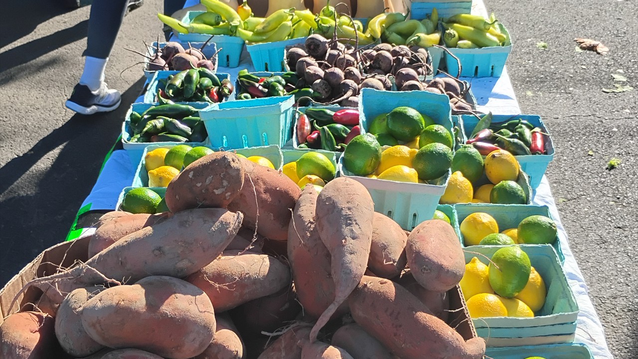 1000003315 1000003315